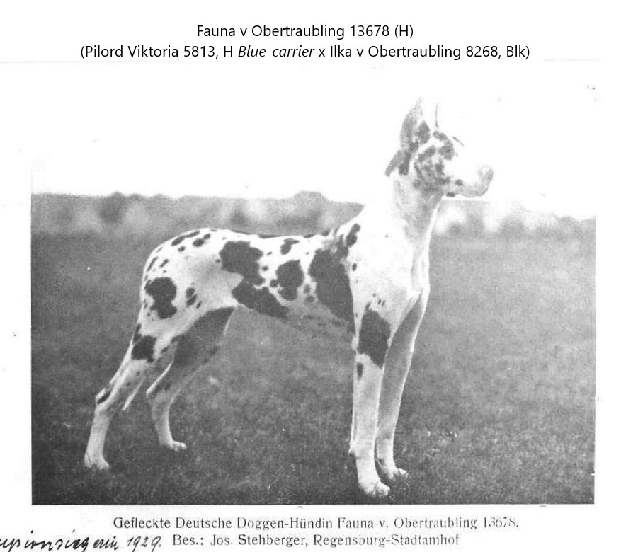 Fauna v Obertraubling